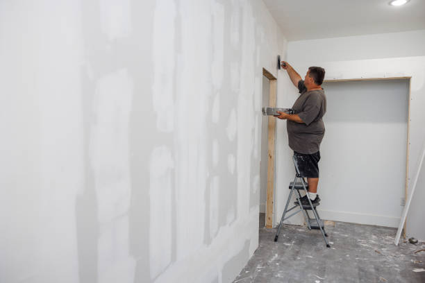 Best Mold Odor Removal Services  in Sto Brook, NY