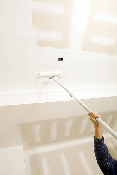 Best Real Estate Mold Inspection  in Sto Brook, NY