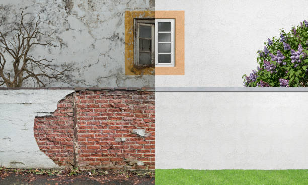 Best Mold Damage Restoration  in Sto Brook, NY