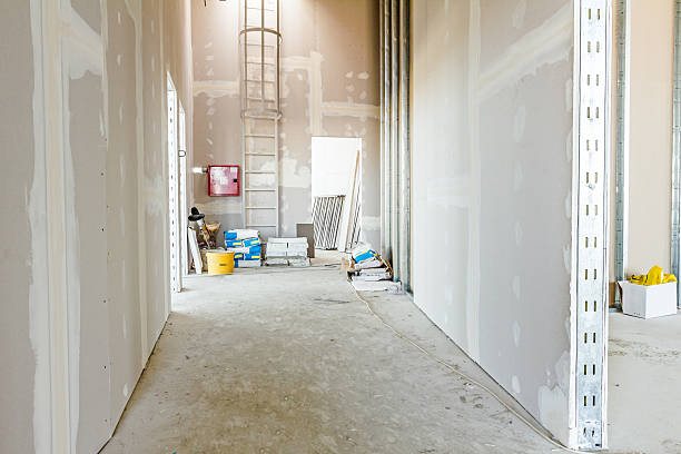 Professional Mold Removal in Stony Brook, NY